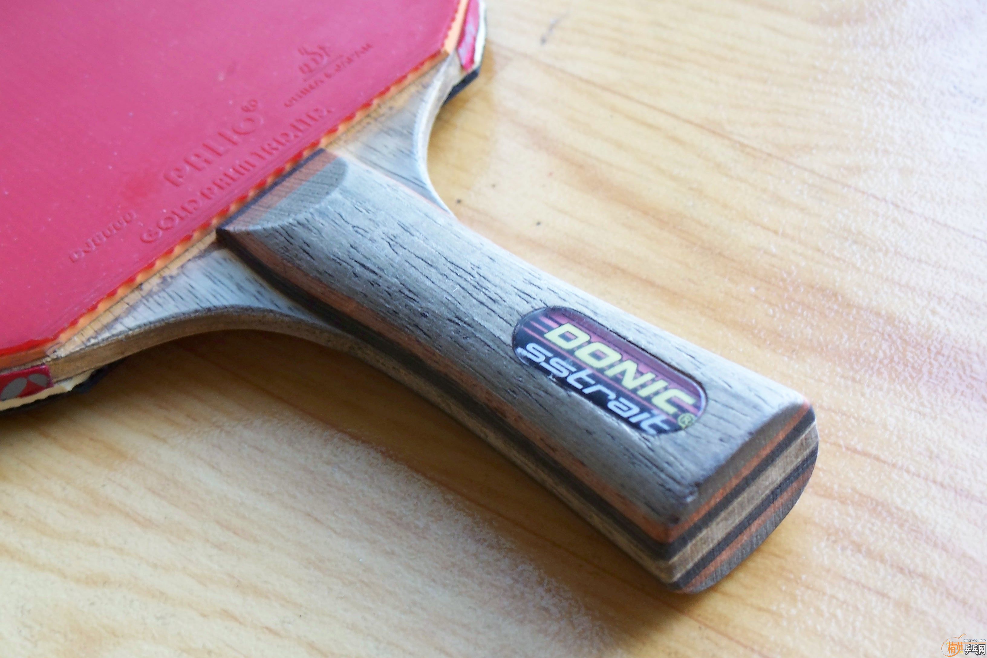 Butterfly  ����  ����