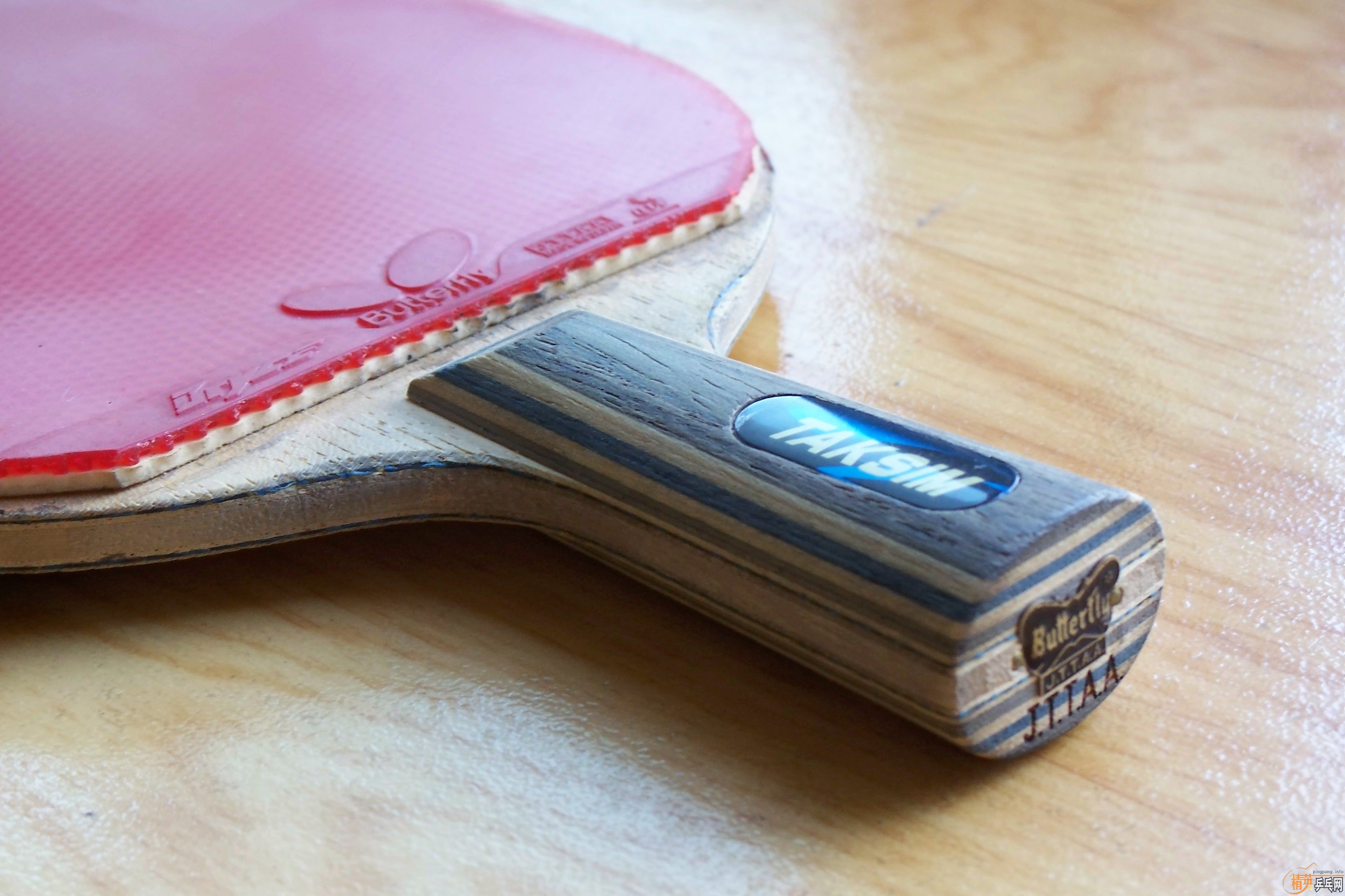 Butterfly  ����  ����