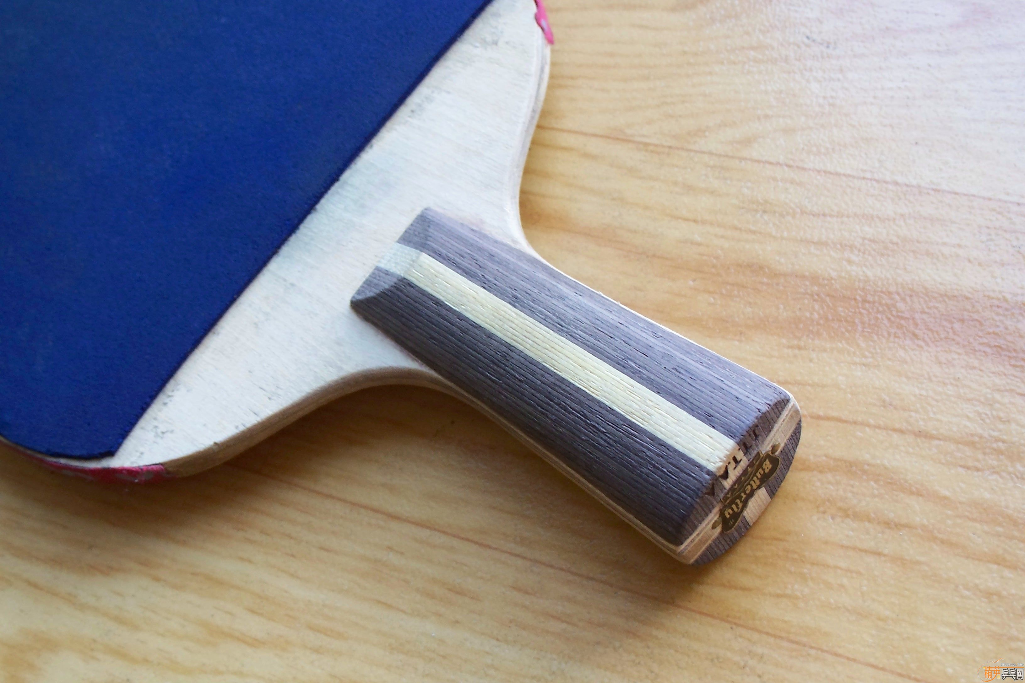 Butterfly  ����