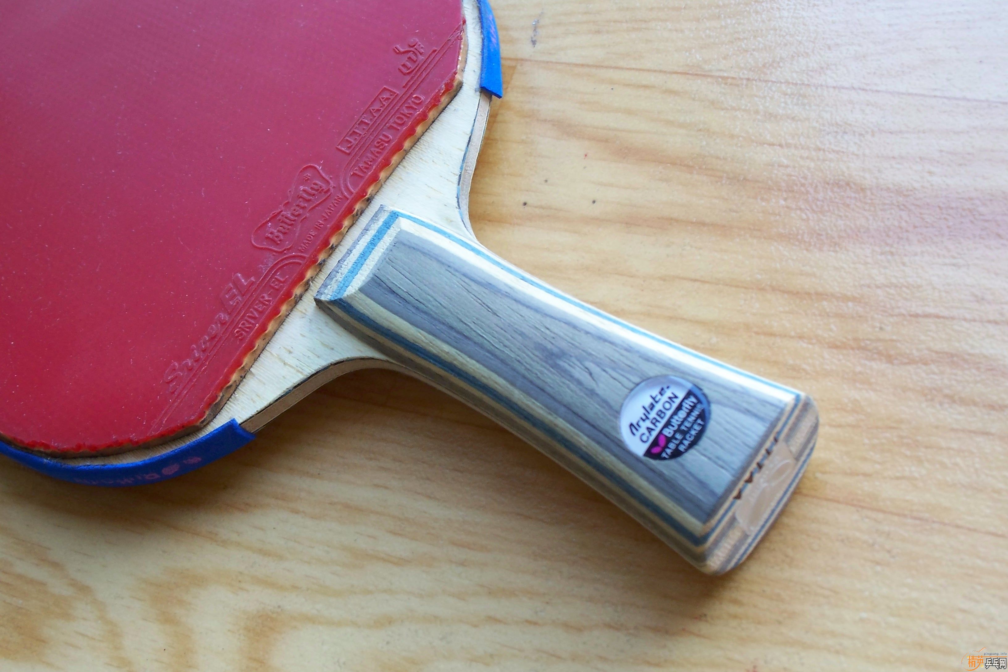 Butterfly  ����