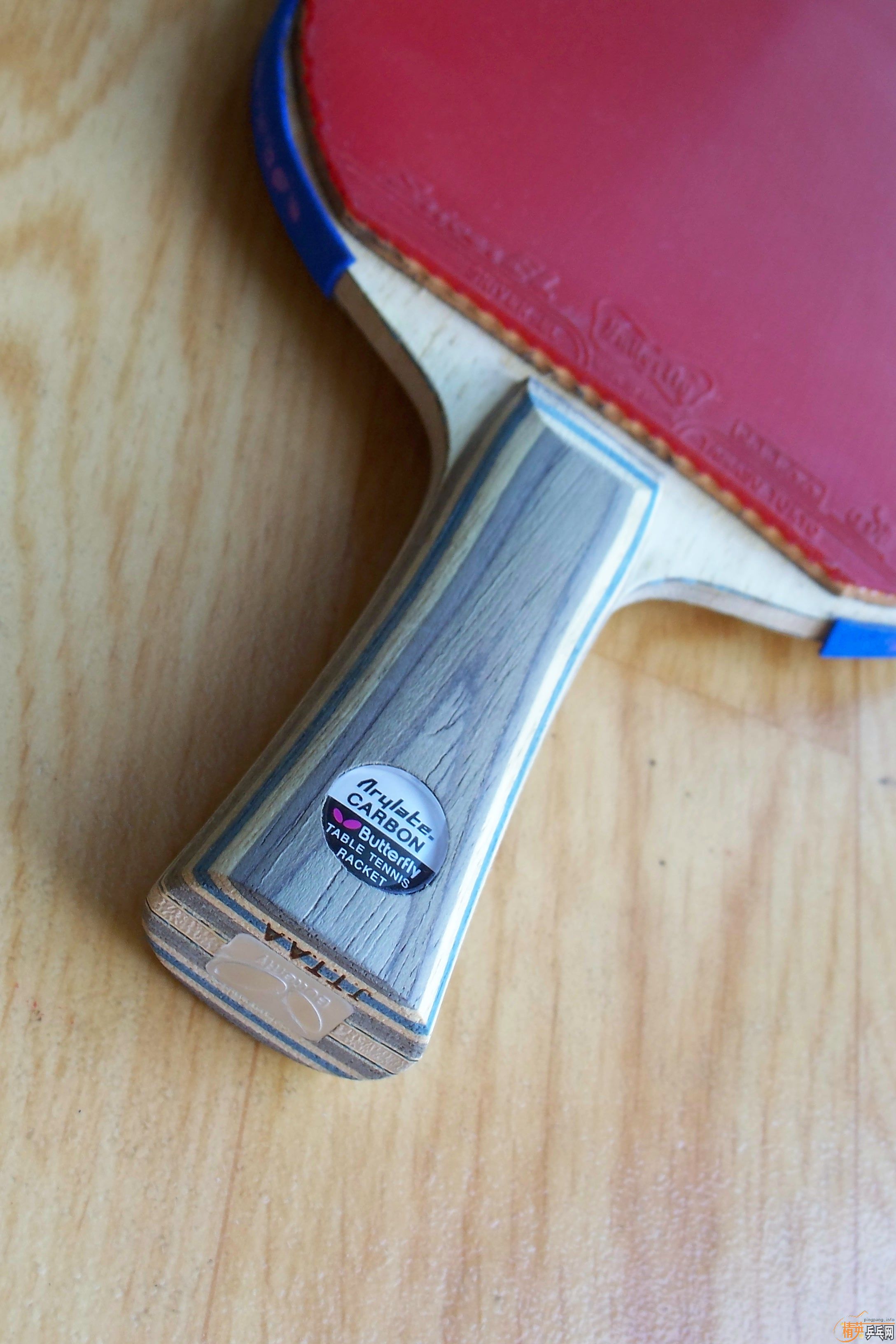 Butterfly  ����