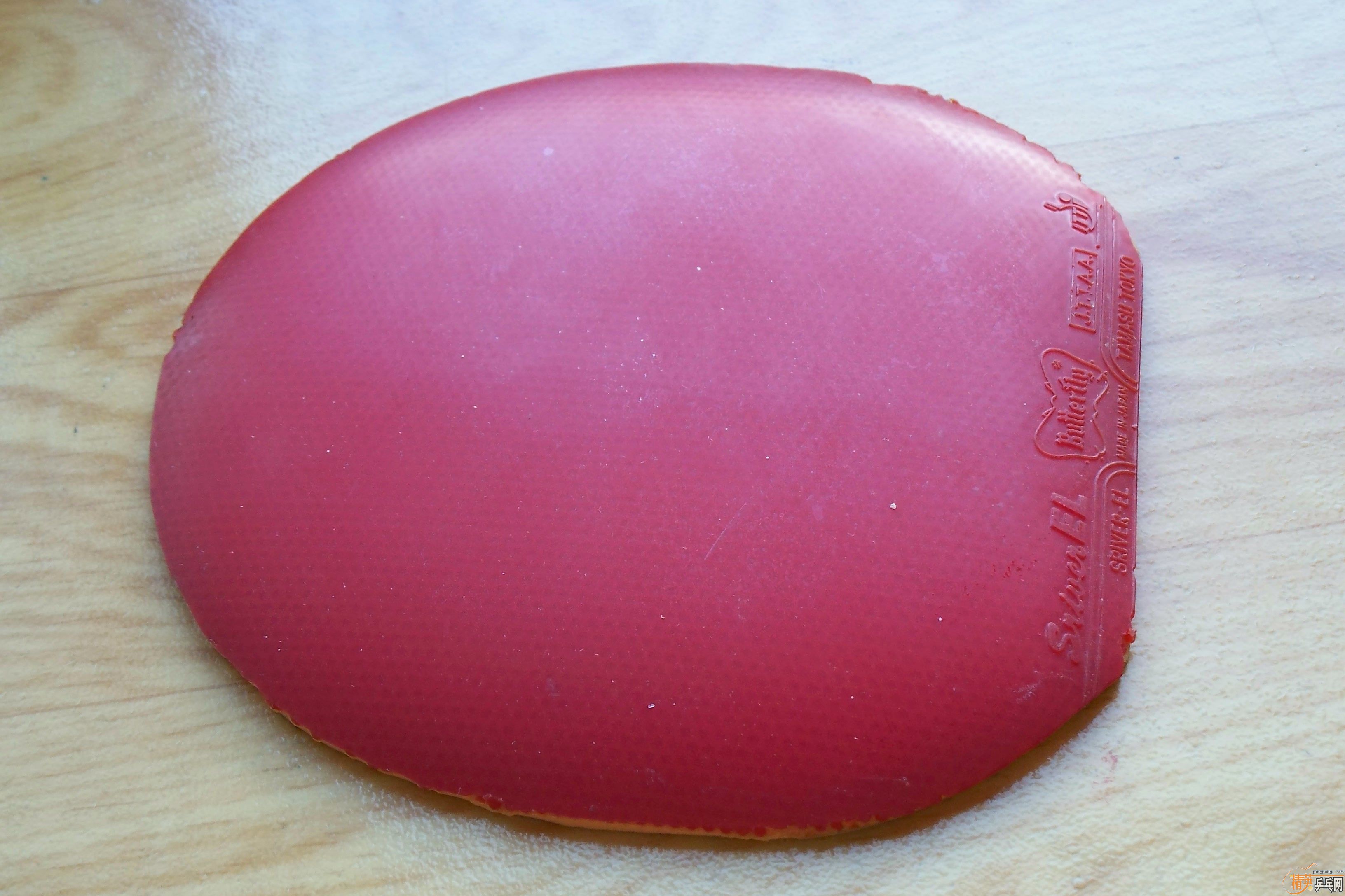 Butterfly  ����