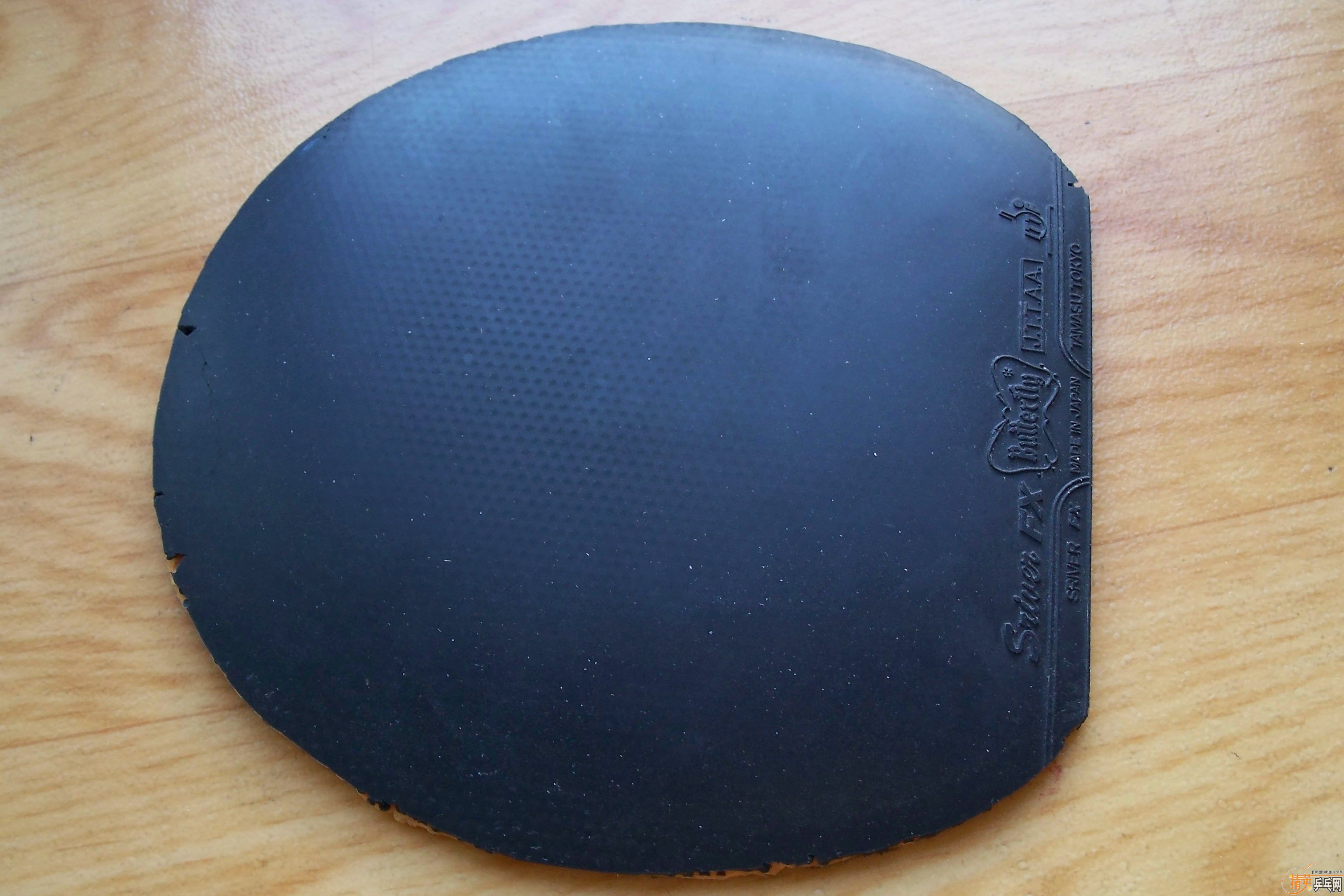 Butterfly  ����