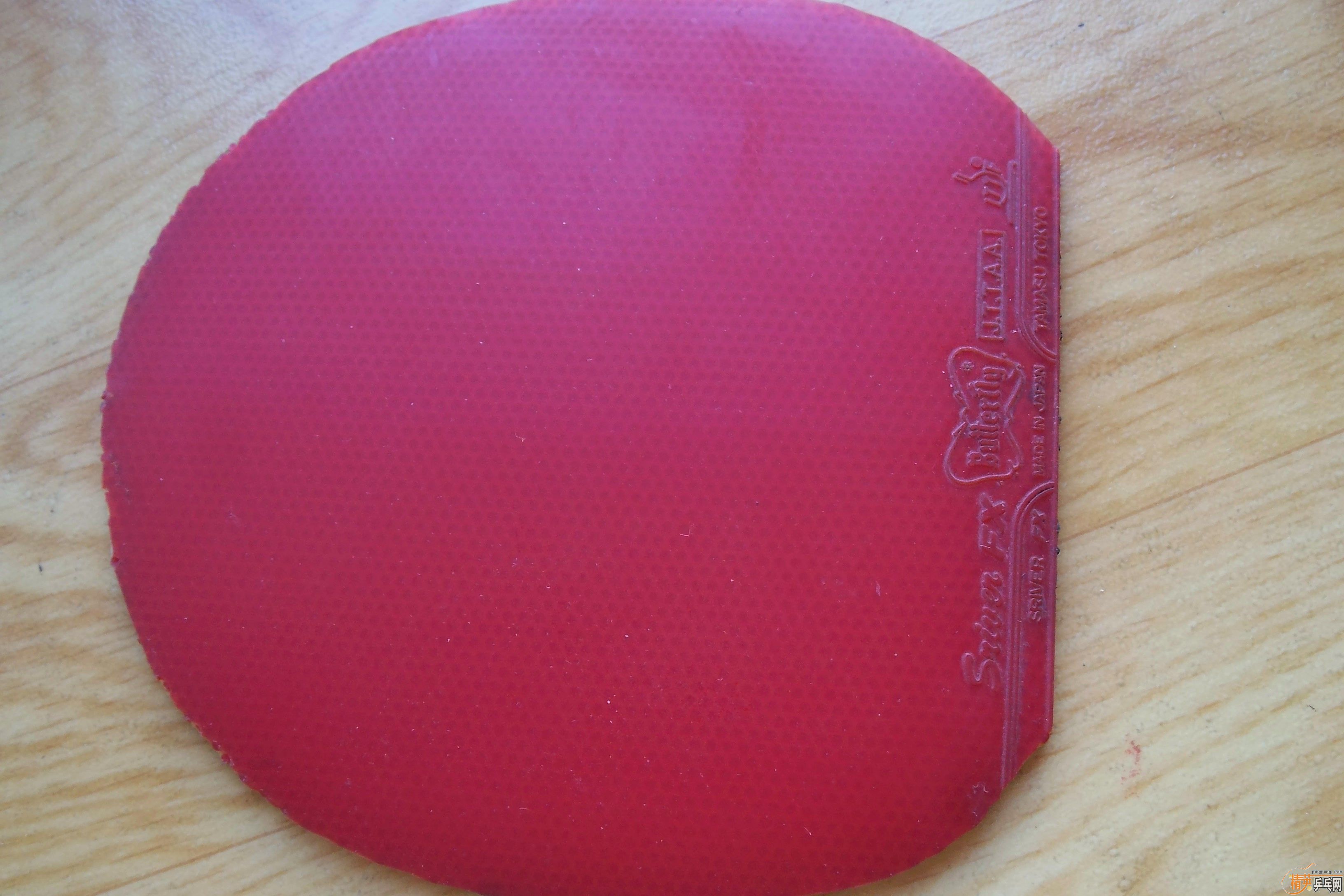 Butterfly  ����  ��������