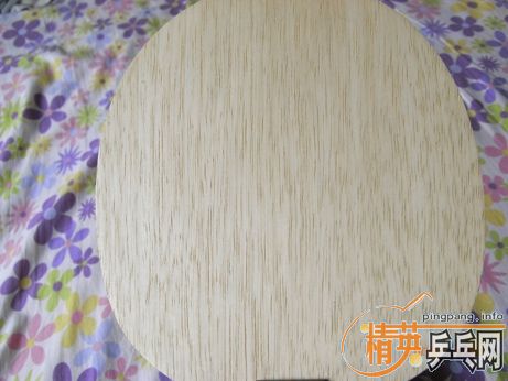 ��������ͼ�������߻�ֻ��һ��NITTAKUʯ���Ѵ���Ʒ���Լ�����