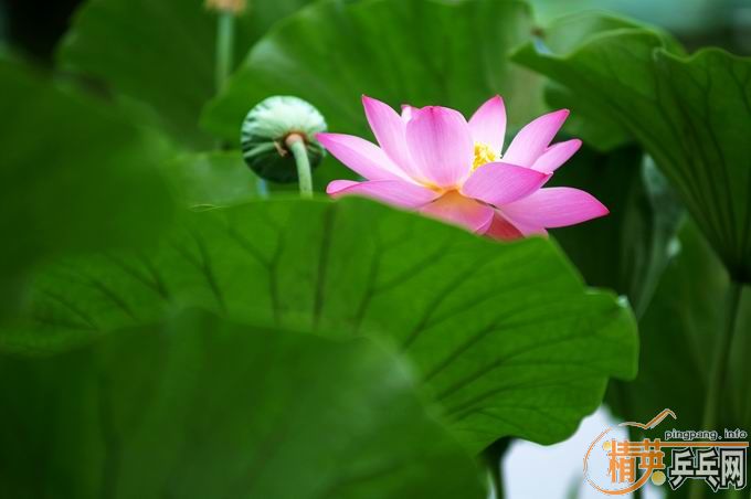 [��ͼ]����û����ȥ��������