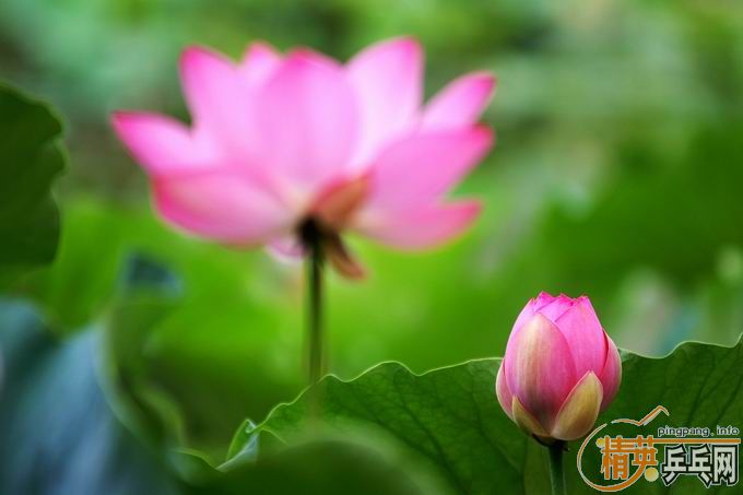 [��ͼ]����û����ȥ��������