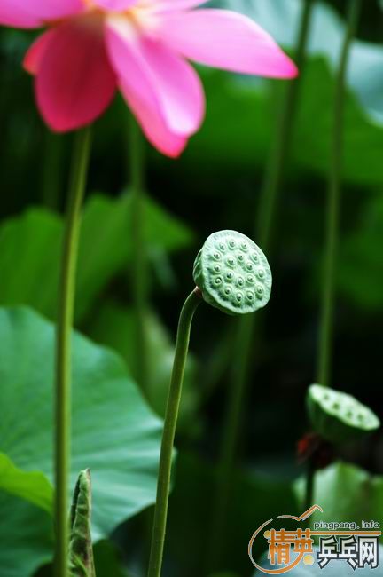 [��ͼ]����û����ȥ��������