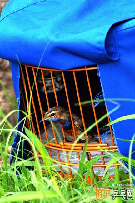 [��ͼ]����û����ȥ��������