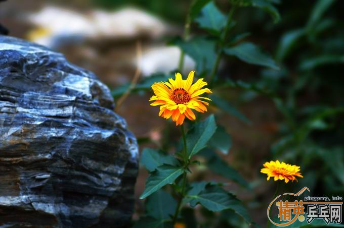 [��ͼ]����û����ȥ��������