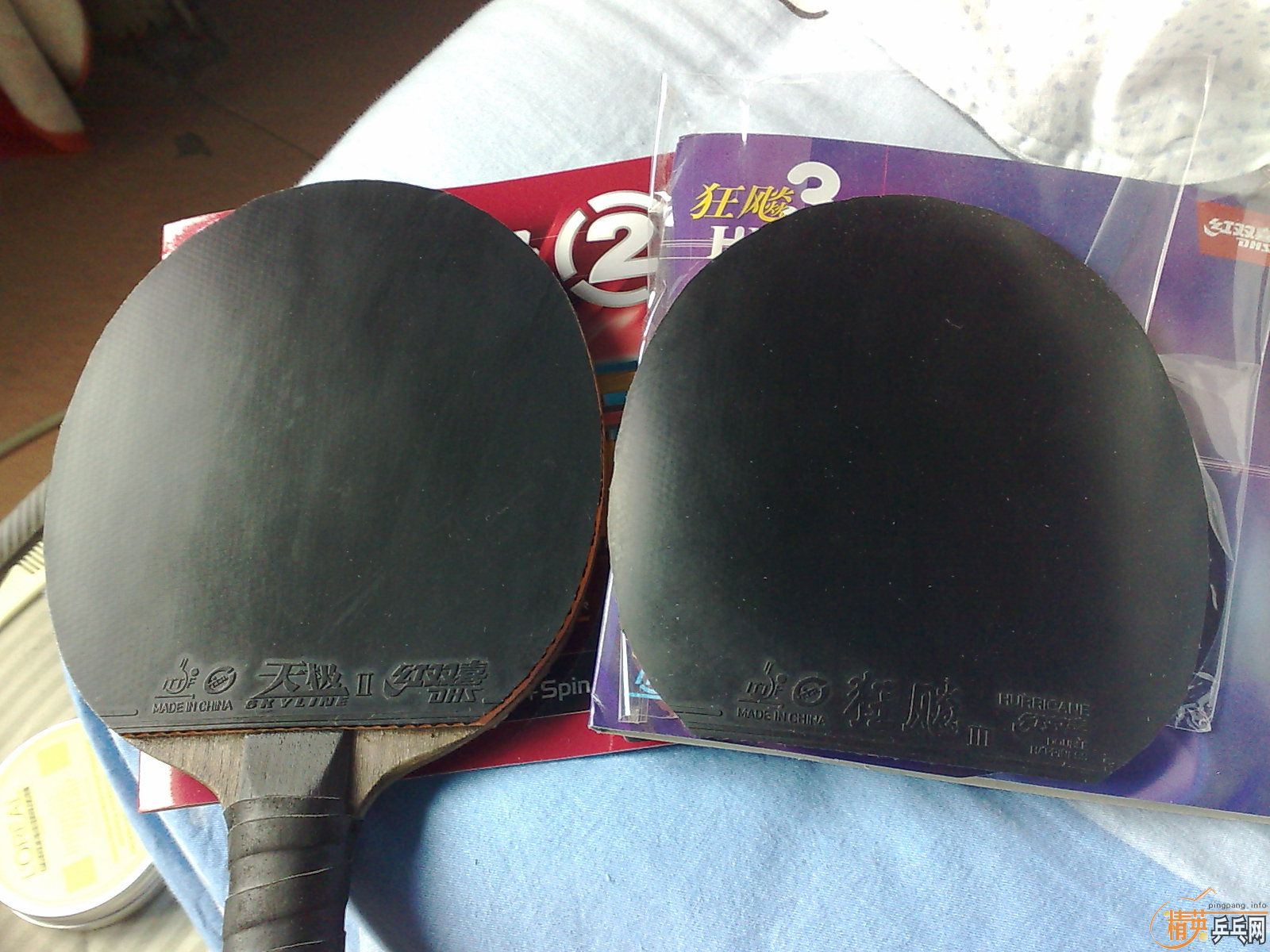 ___�տ��ɫ���켫���������·���������ͷ�������˳���___