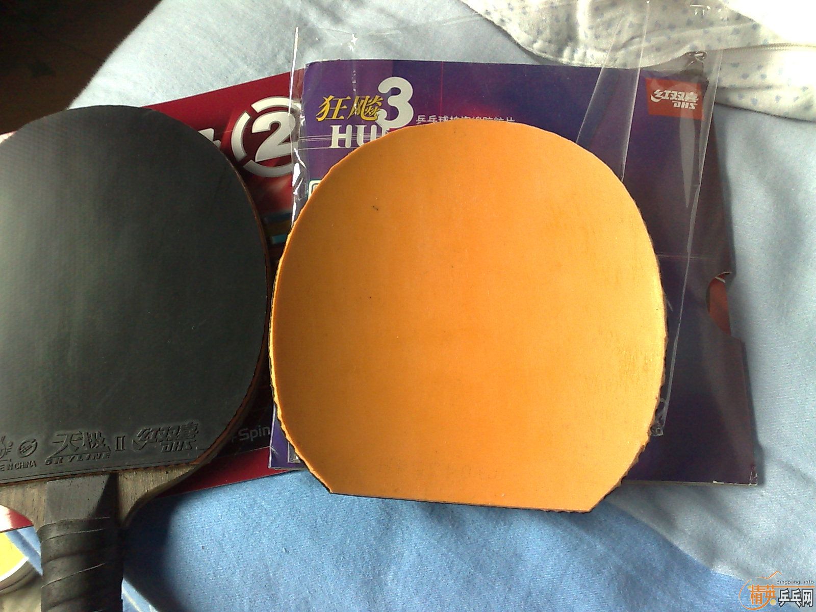 ___�տ��ɫ���켫���������·���������ͷ�������˳���___