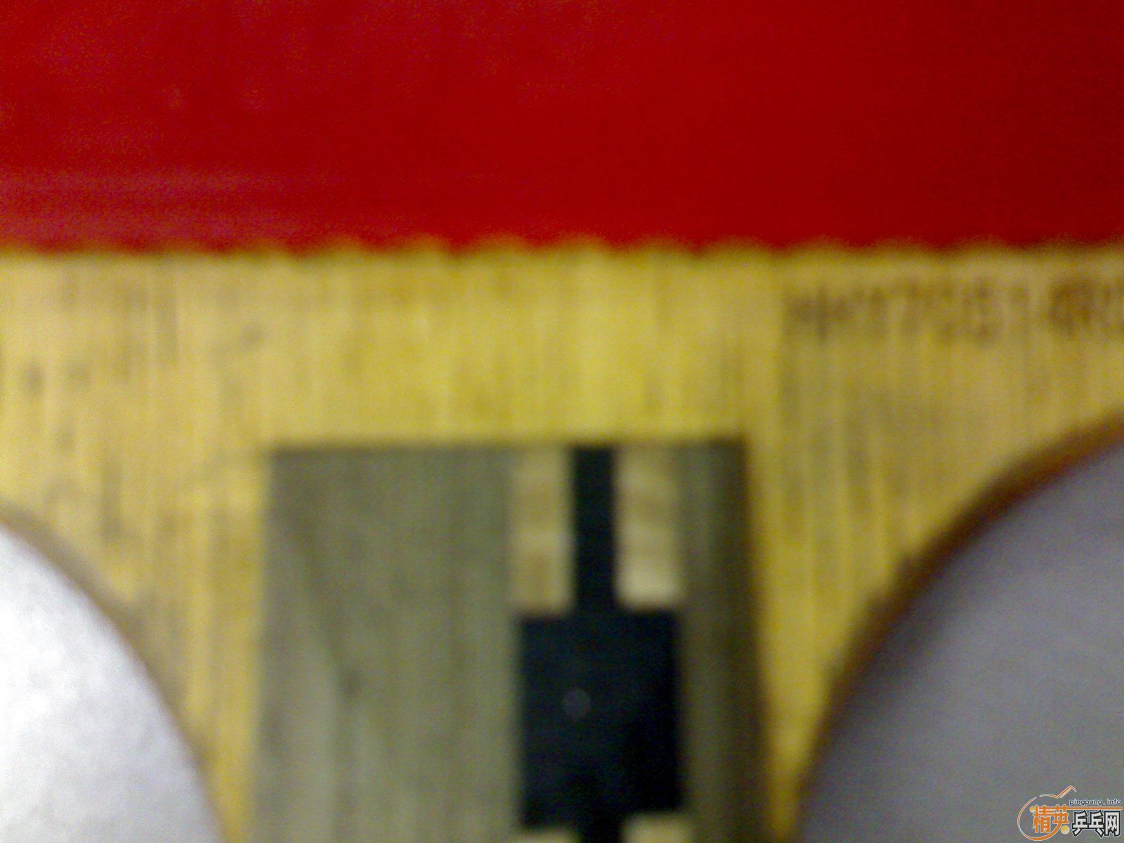 �����ɹ������Ʊ�������������EG�����ھ�ʣ����M5�ˡ�����