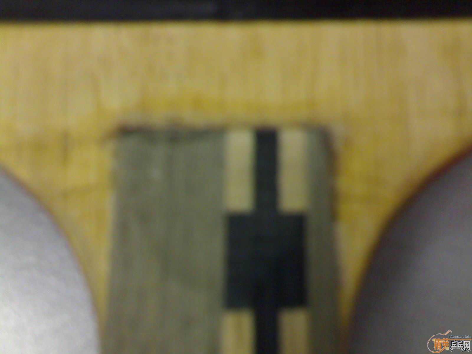 �����ɹ������Ʊ�������������EG�����ھ�ʣ����M5�ˡ�����