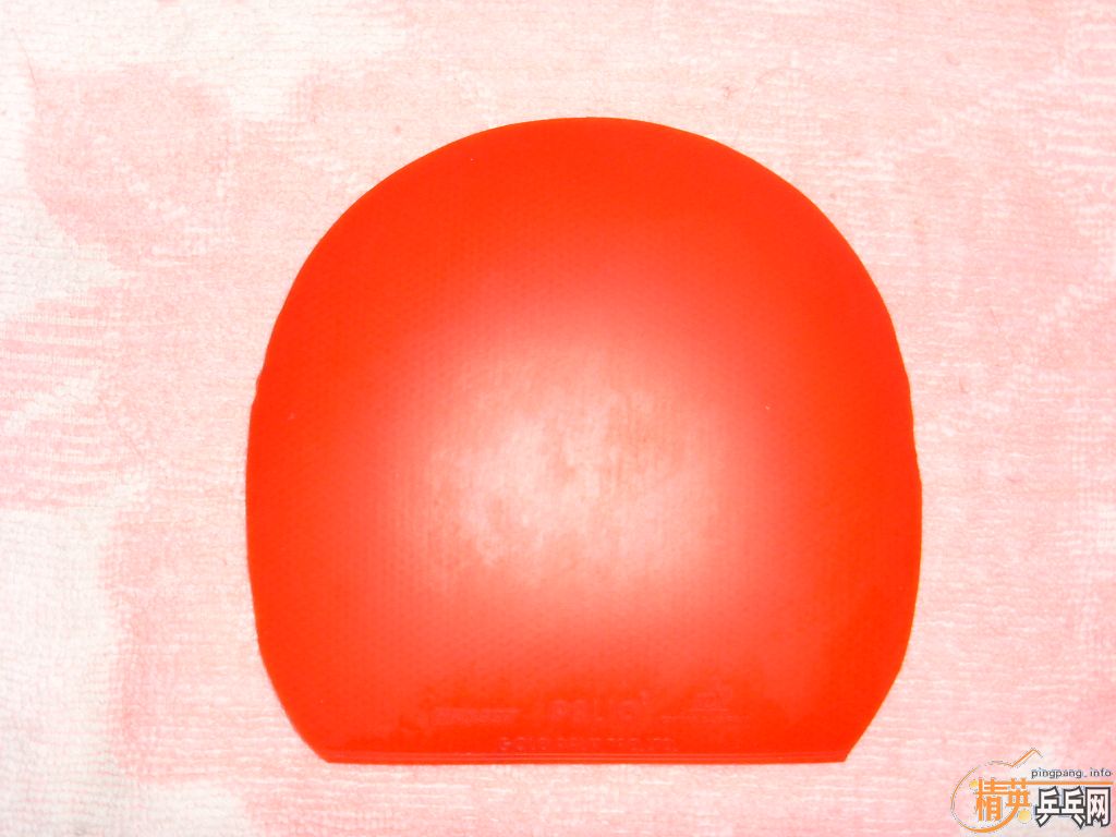 ����K5�����˳���