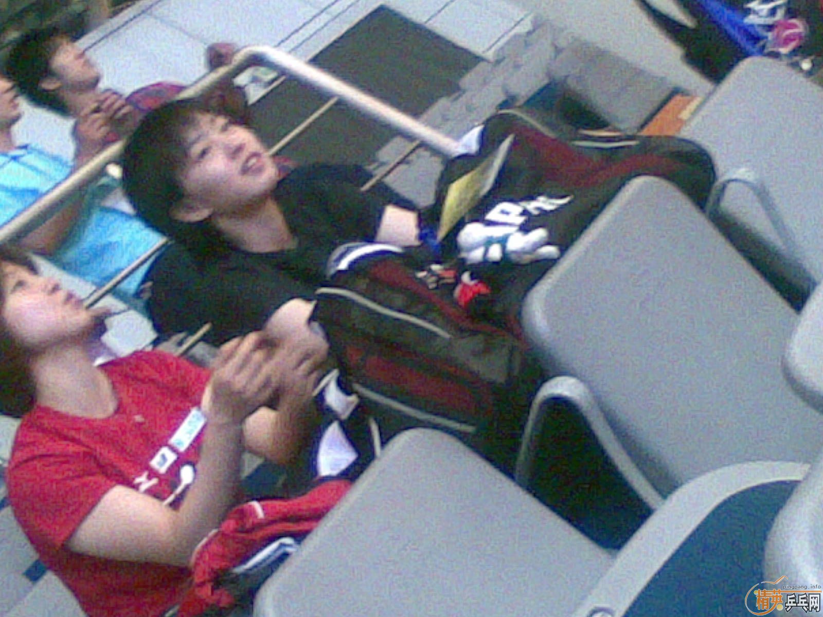 ���޻�ľ����TENOR 750��˳��