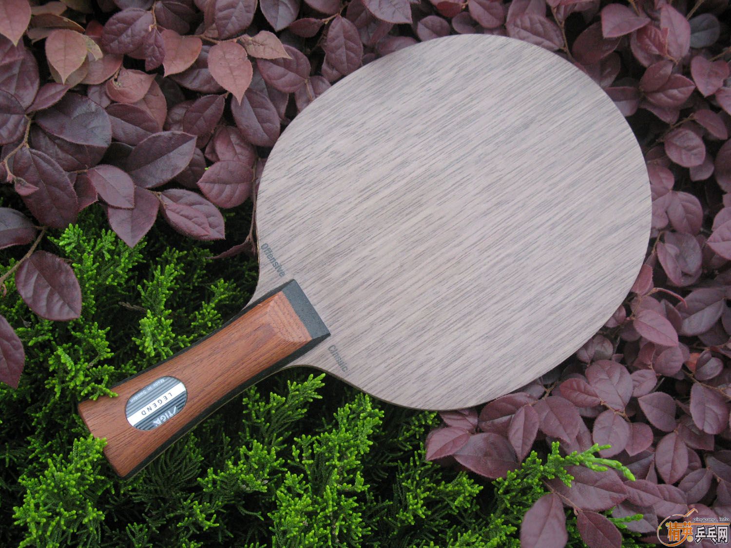 ǳ̸�װ��ҵ��� ϵ��֮�� stigaƪ���ݸ壬ֻ�����ֳ��岢�һ�δ��ͼ��