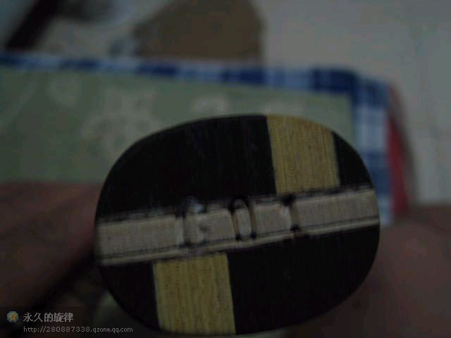 壬ǳţ