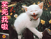 [][ת]Цſµǿǿͼ