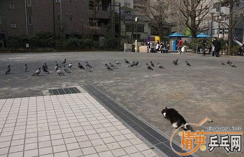 [ͼ]ÿЦһЦ