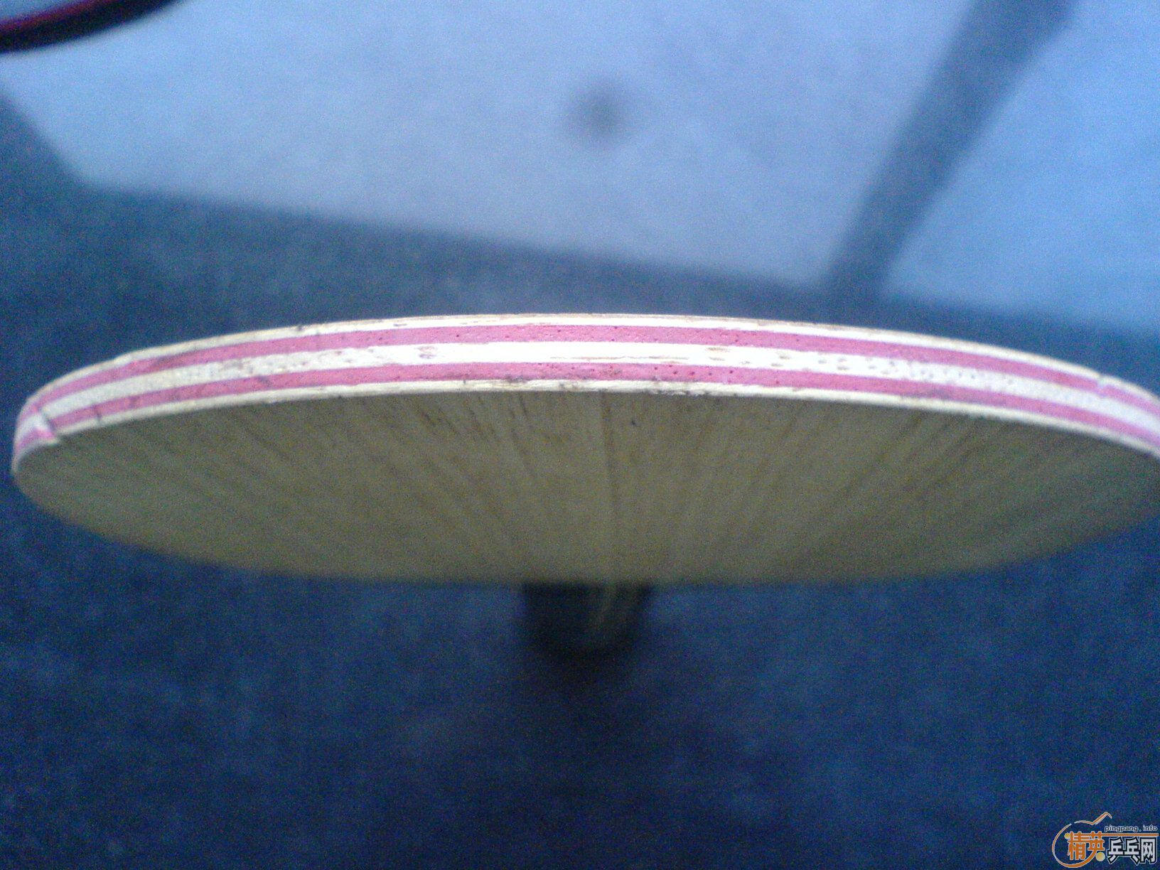 CL��С����