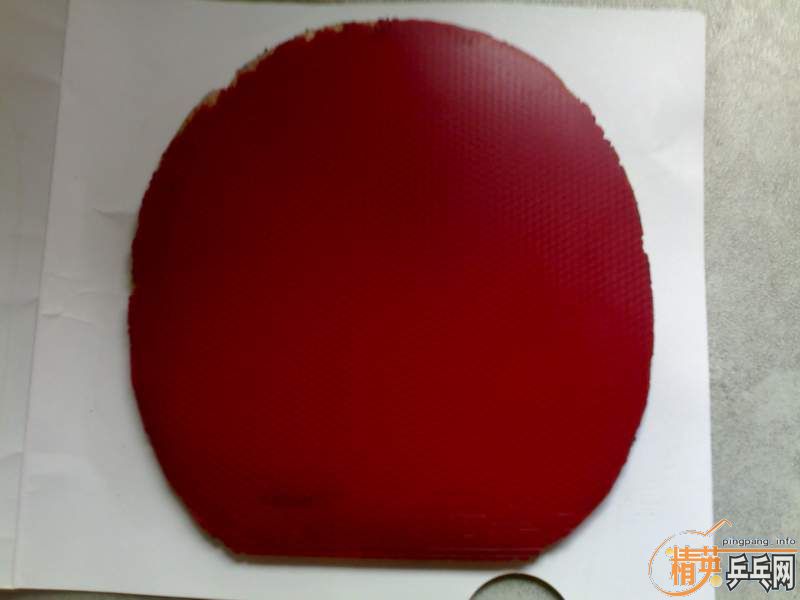 �����������ף�FX��F1�����ᣩ