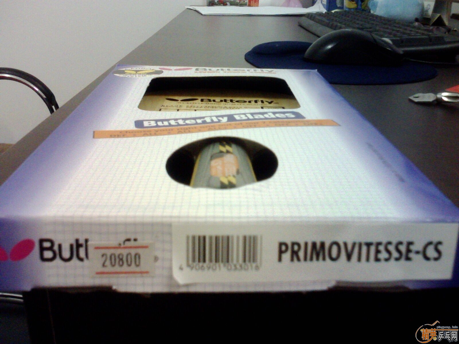 ��95�º�����̼����桾֧�������ס�