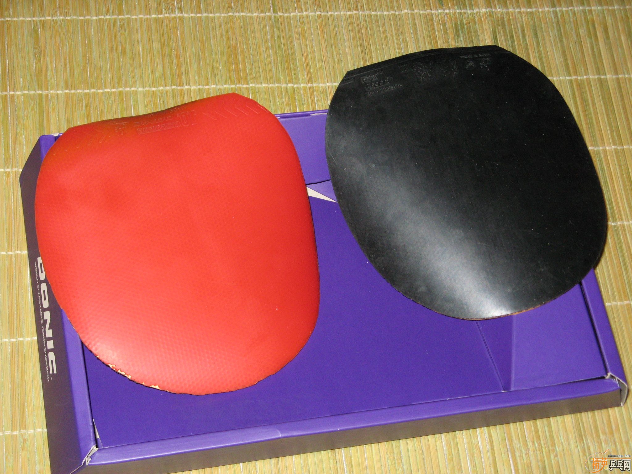 ���л���ǡ���JO��ʡ��3��