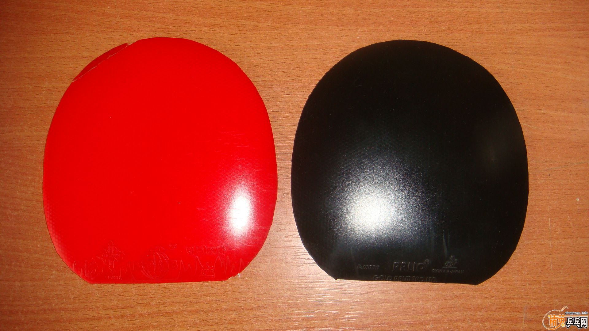 ���˳��Ͽ�