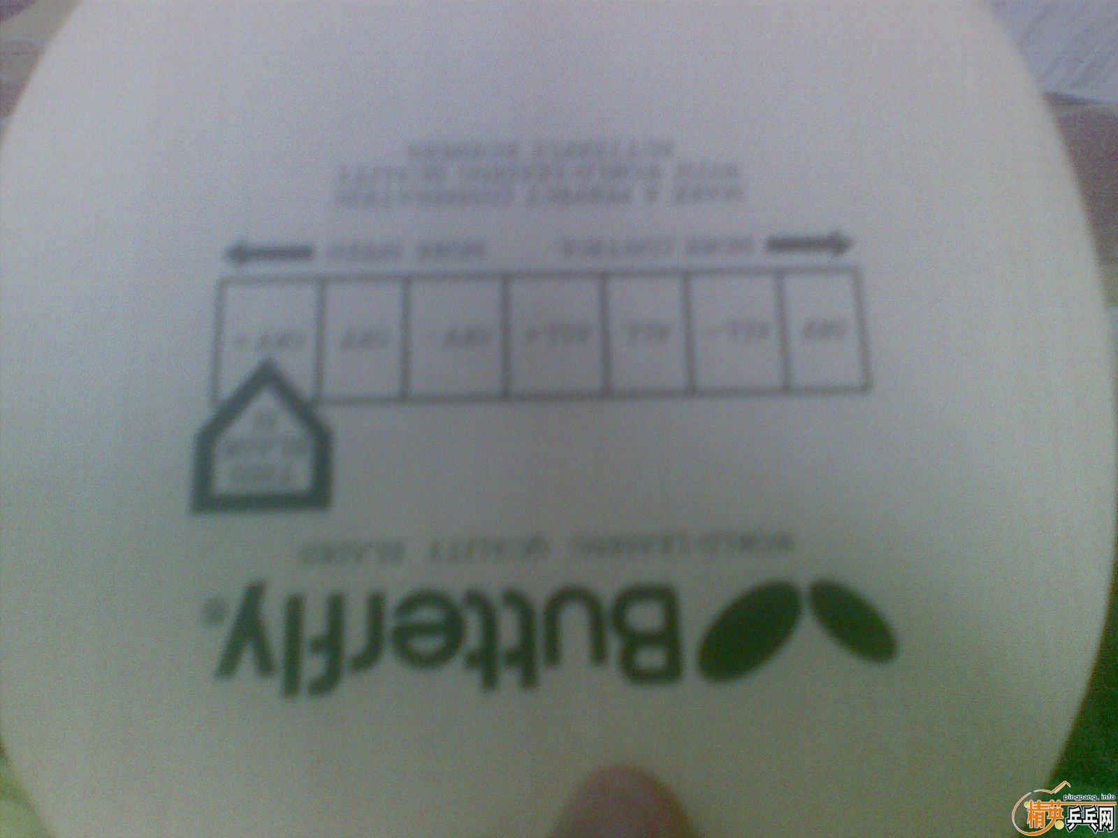 ��9.5�º�FL��̼����ͼ��