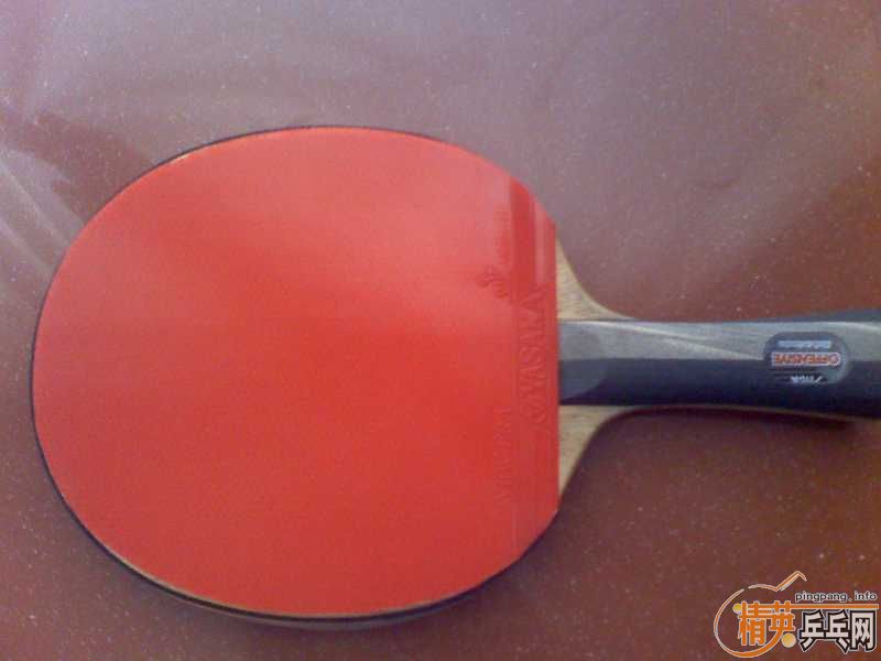 ���˳����ŷ����׽�