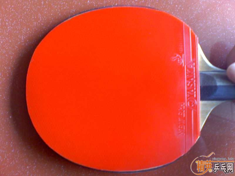 ���˳����ŷ����׽�