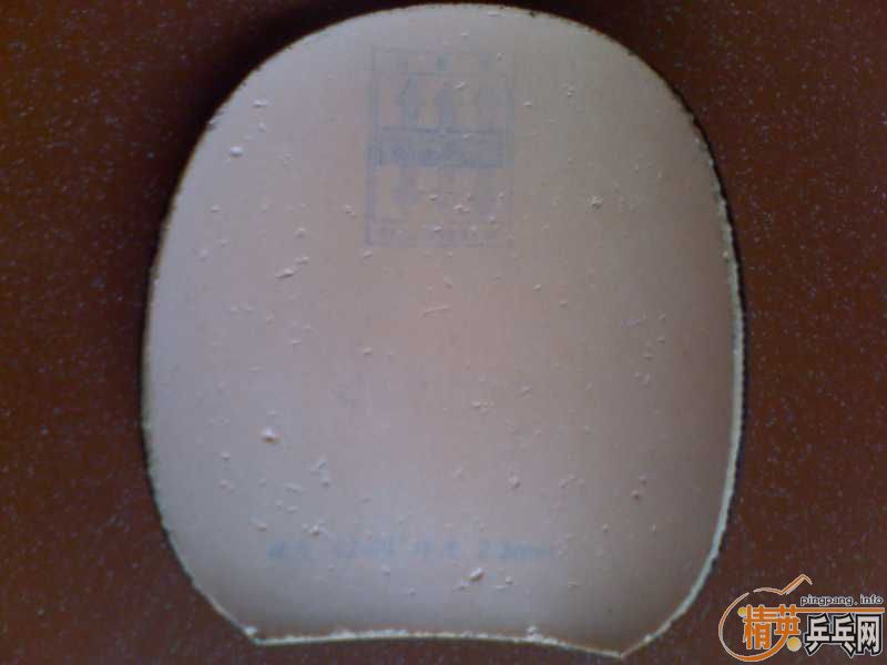 ���˳����ŷ����׽�