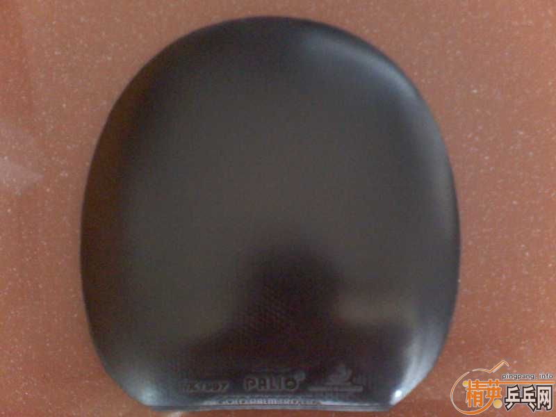 ���˳����ŷ����׽�