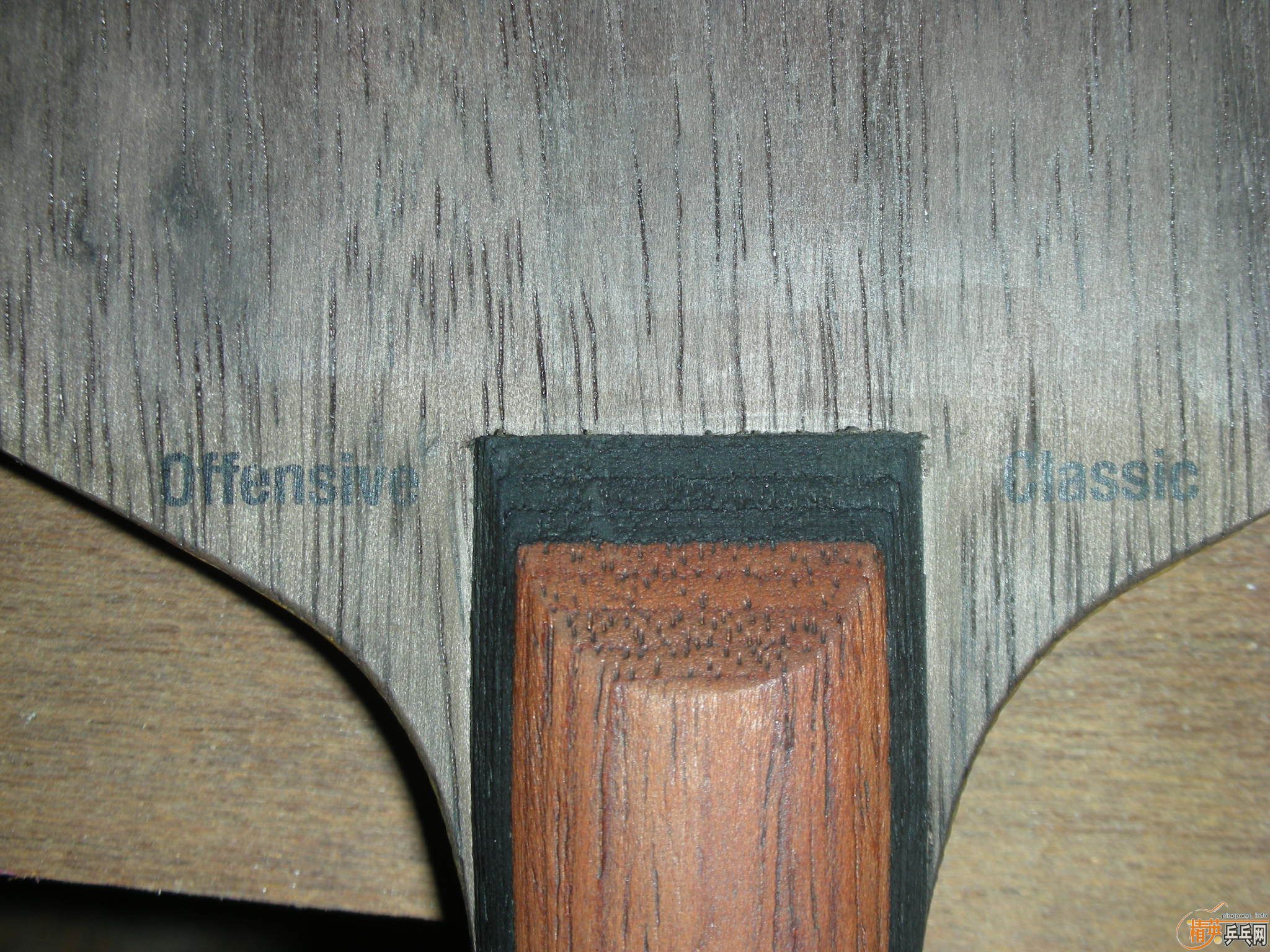 ���ѳ��л���oc