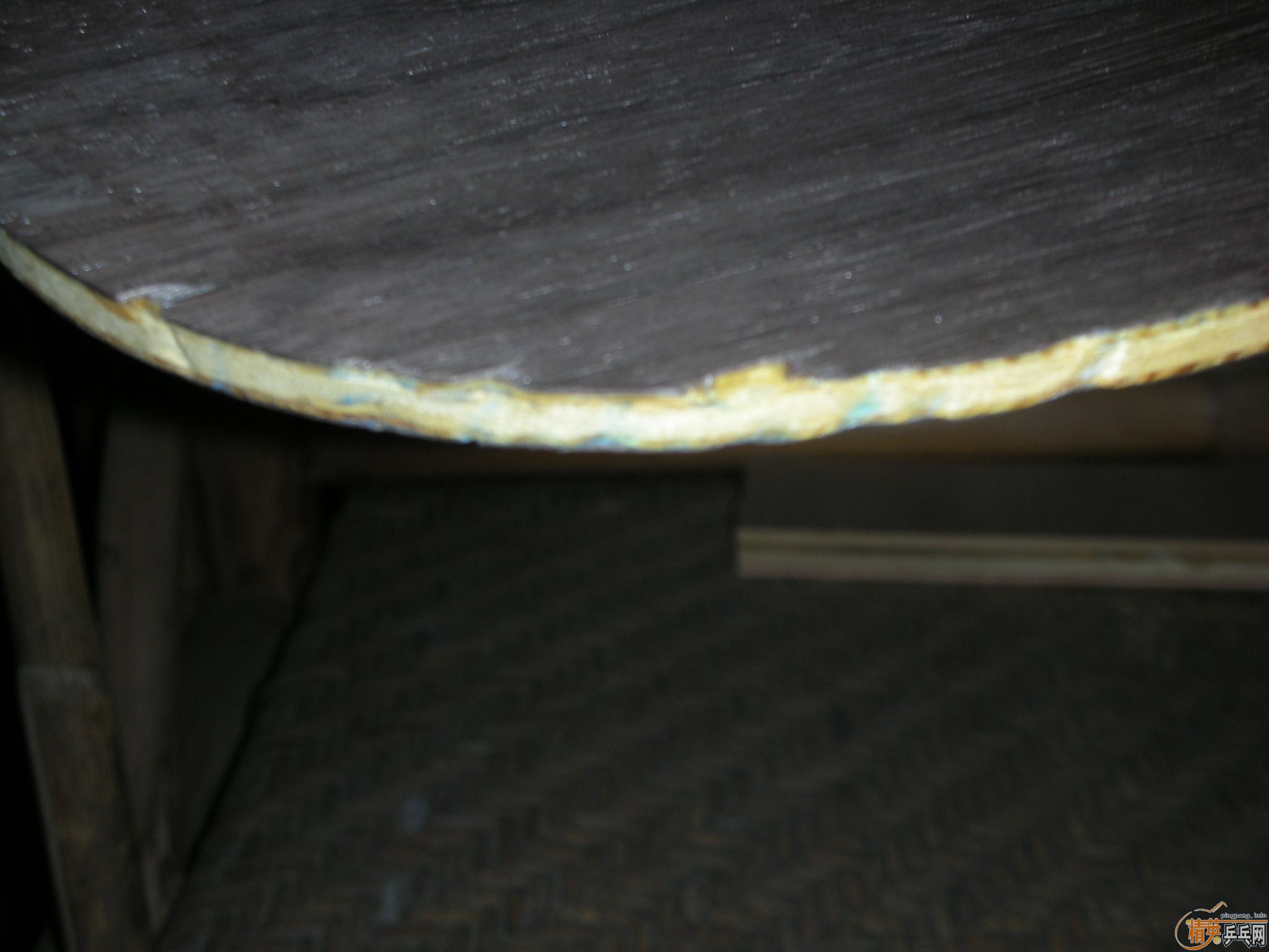 ���ѳ��л���oc