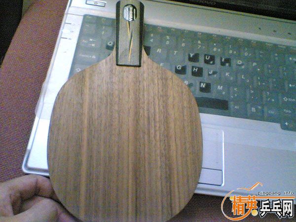 280����ͨ��9.5��YEO��ʡ�������