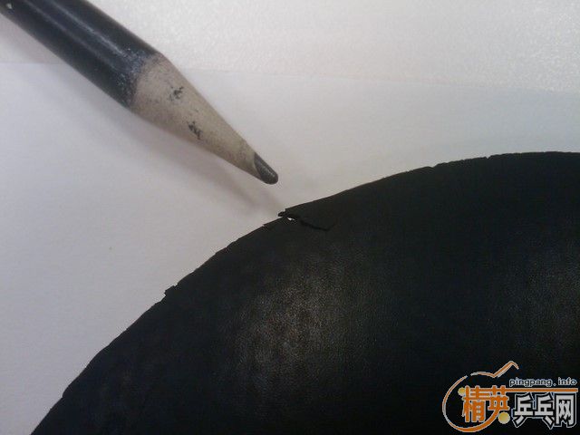 ͦ�� 9�� Sinus Alpha ��ɫ MAX  150���飬XIOM 95��ZETA ��ɫ MAX 110����