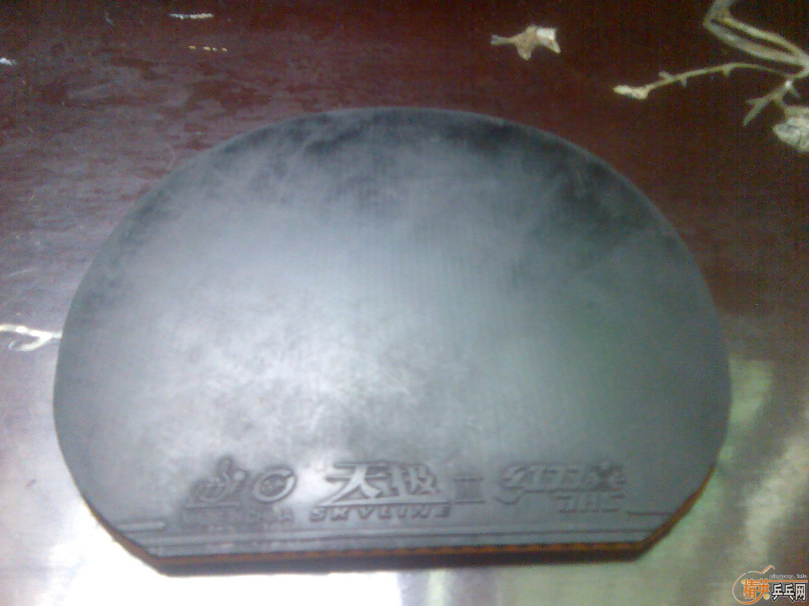 �ٳ�ʡ�� ֱ�ᶼ�� ��07�켫