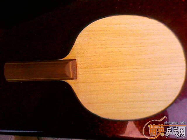 �ַ����ˣ������������36021��������ISHLION�������Ⱒ����P500������B����ͼ��