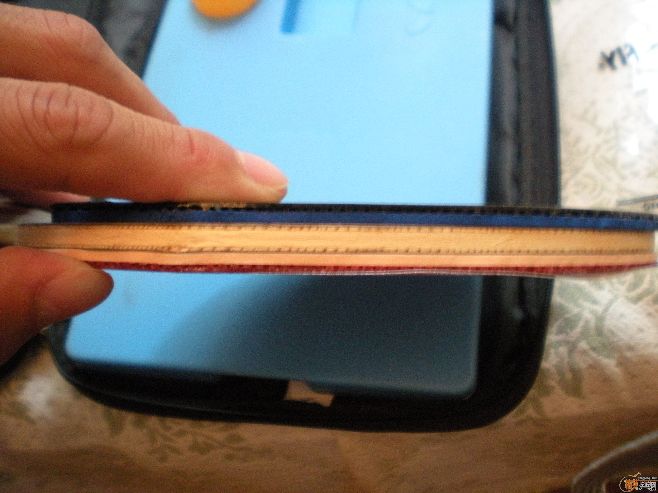 ֧�������������V�� 65����� �����54��������