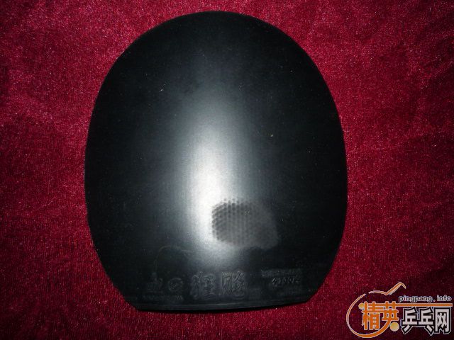 ������ֱ�岨������ʡ�񣨺죩�տ񣨺ڣ���һ