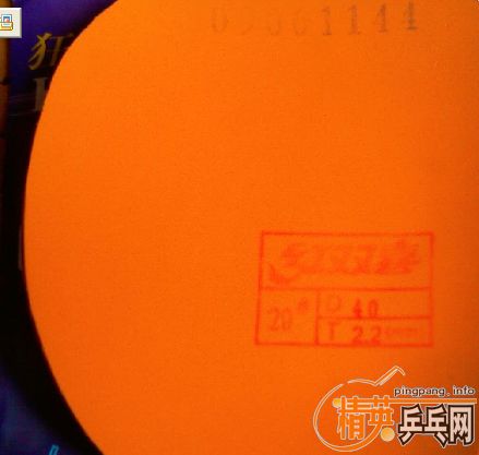 9.5��ʡ��3����ɫ��ֱ�壩