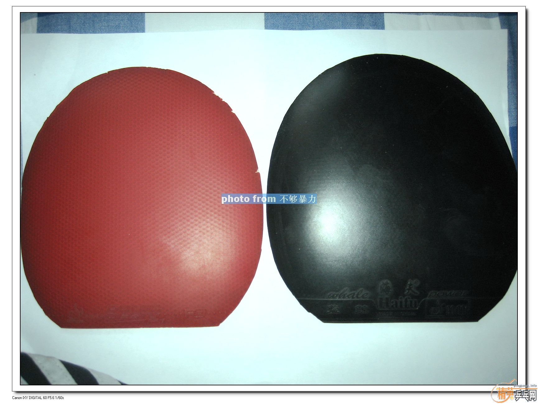 �������F1�������������80����