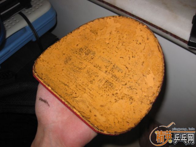 �������Ƥ�ͣ������������ʣ�����Ԫ