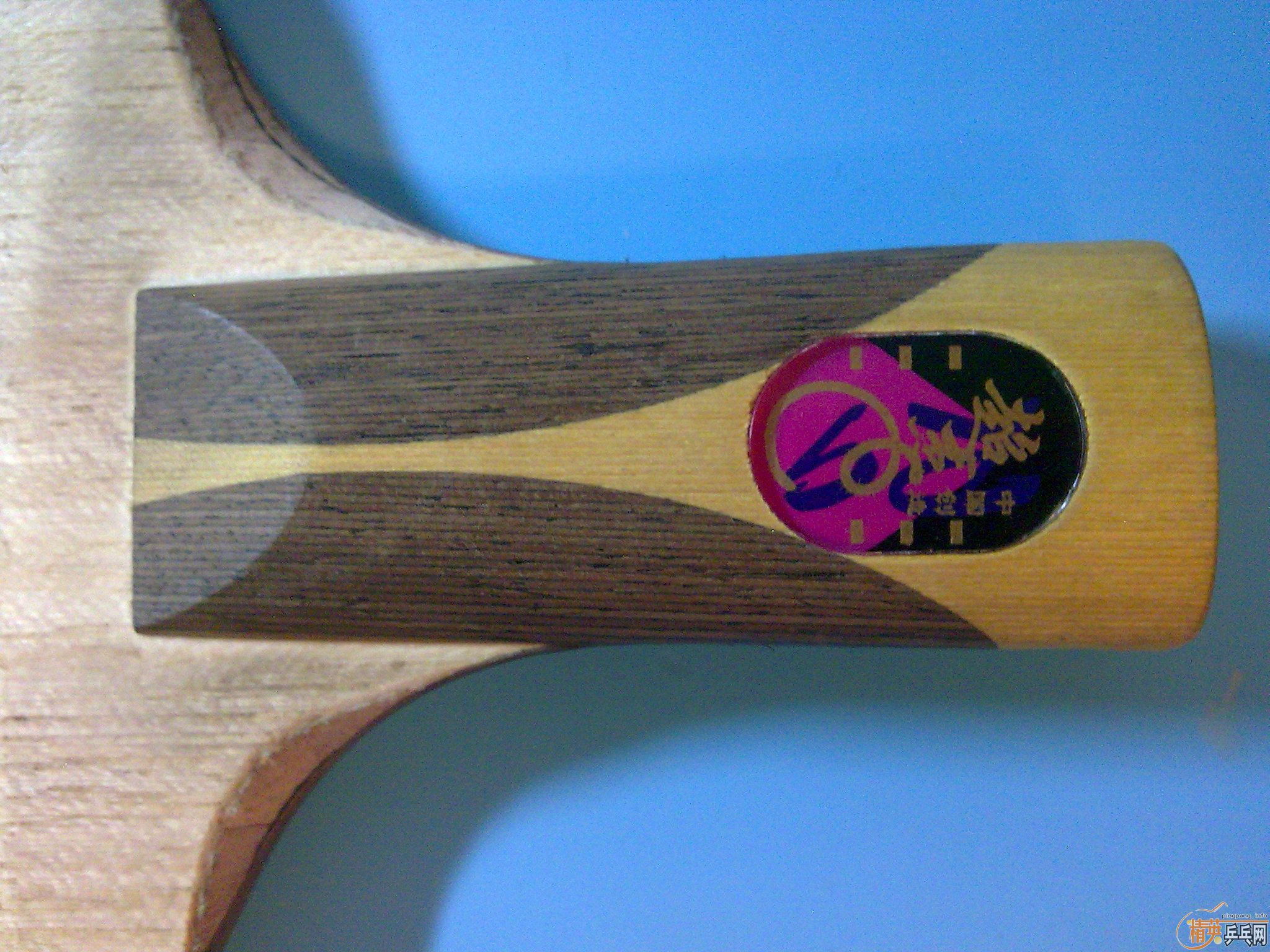 ���׳���C����