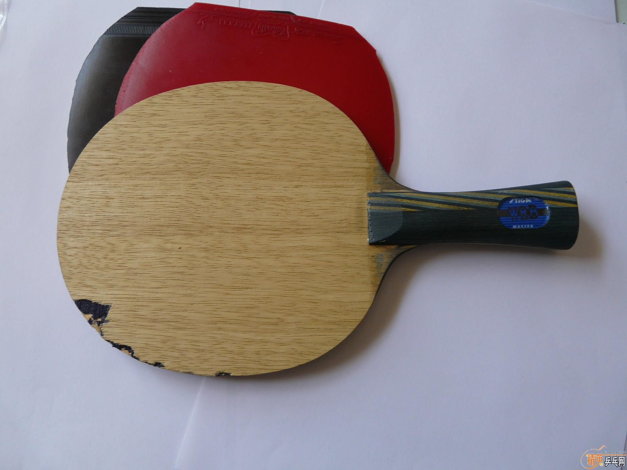 ��һ֦���˵�EG,����Ƥ