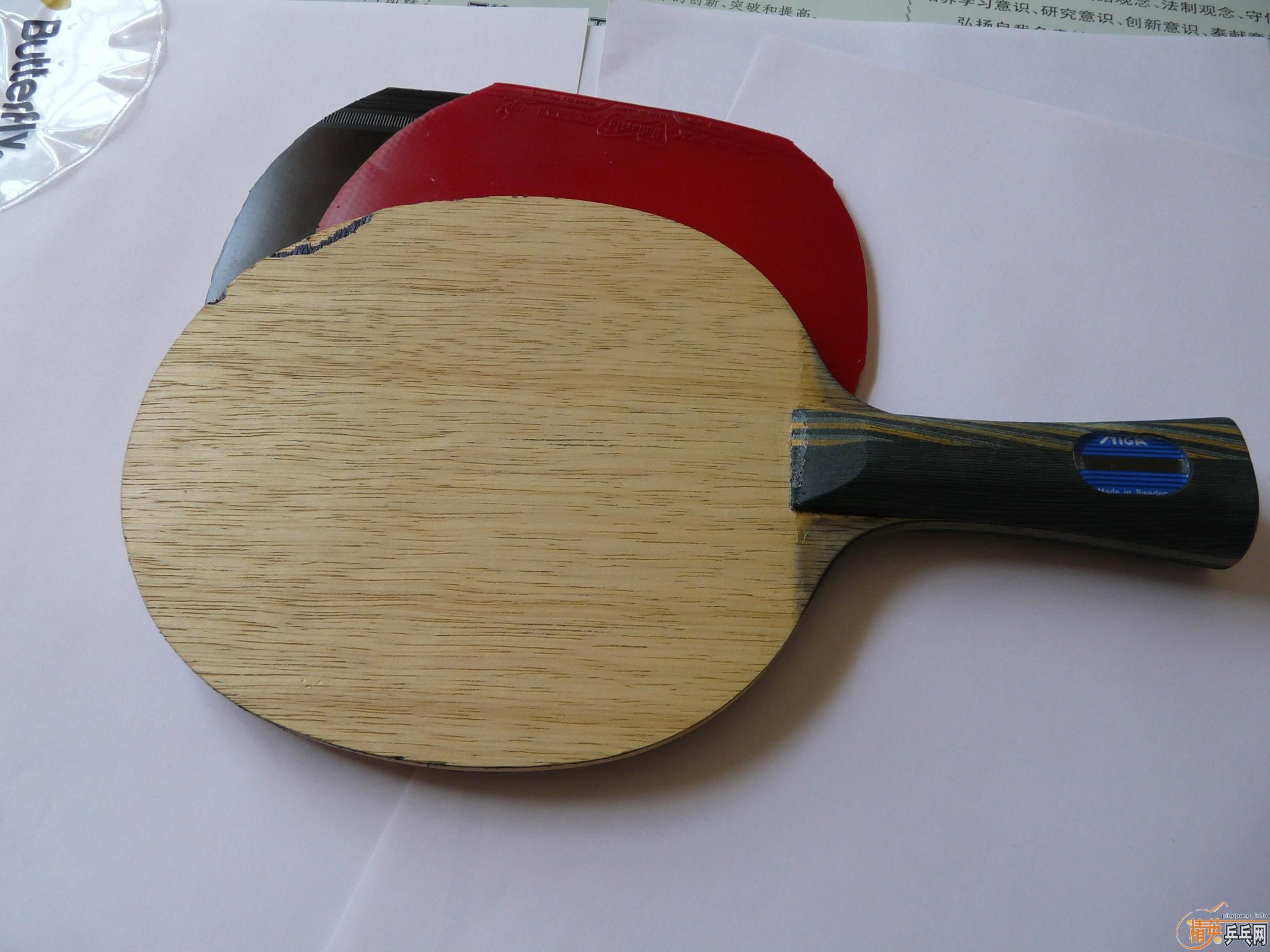 ��һ֦���˵�EG,����Ƥ