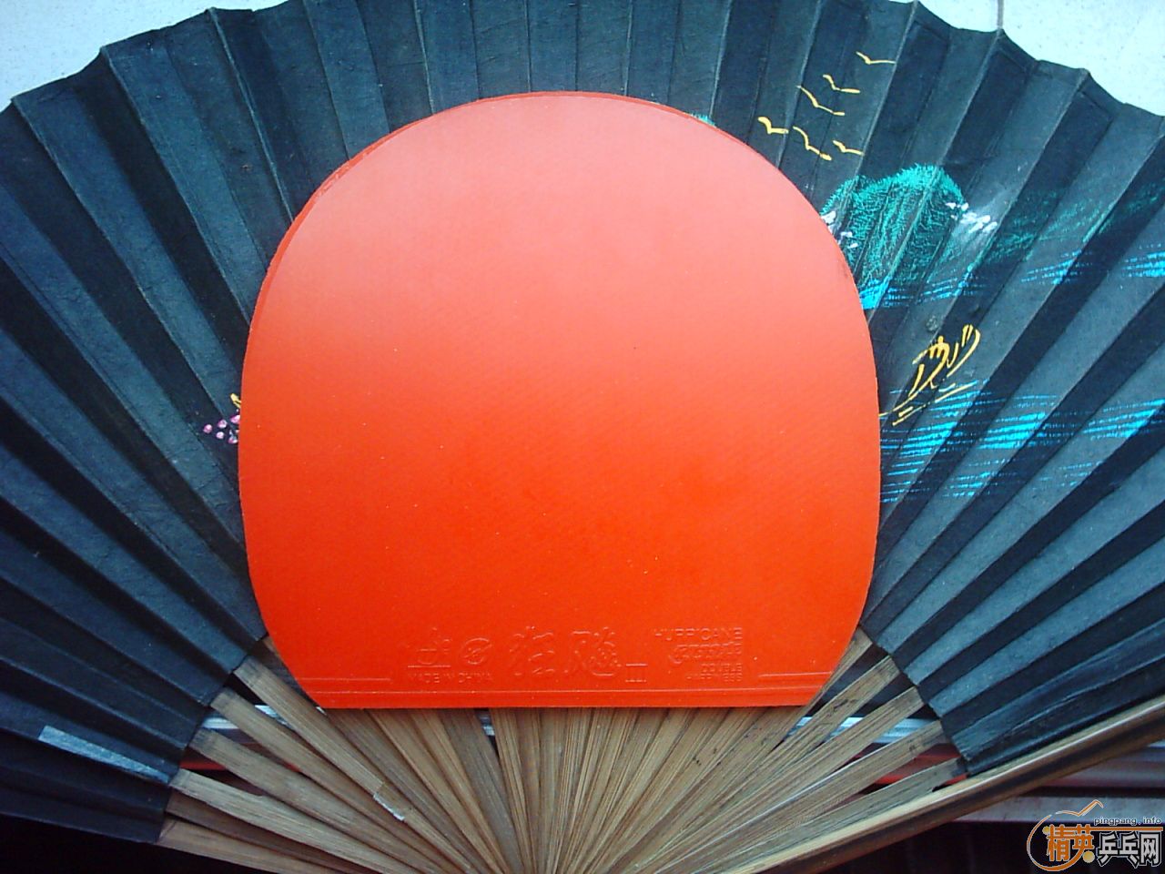 ����+����=55����