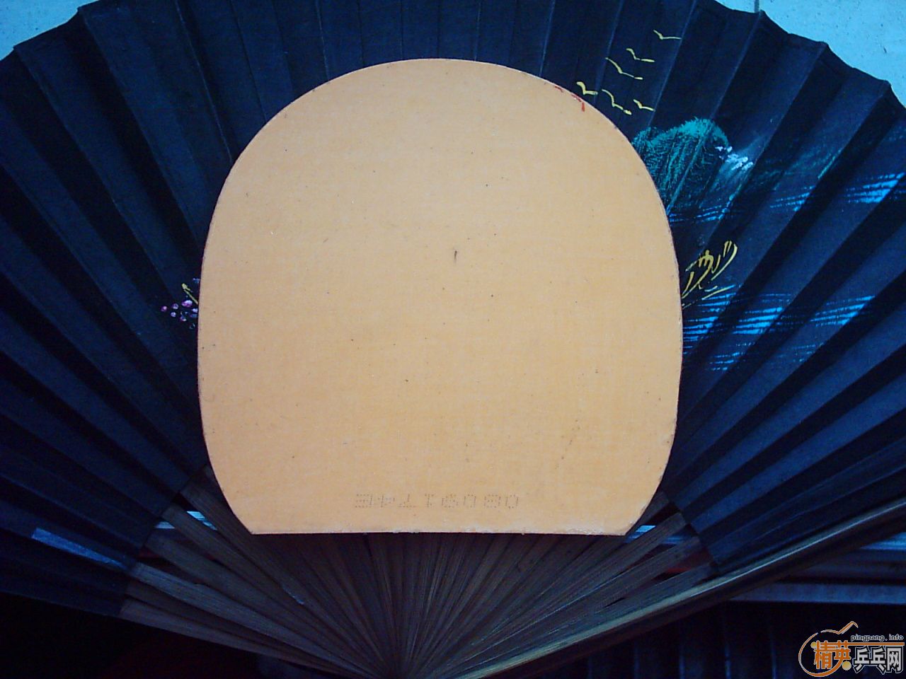 ����+����=55����